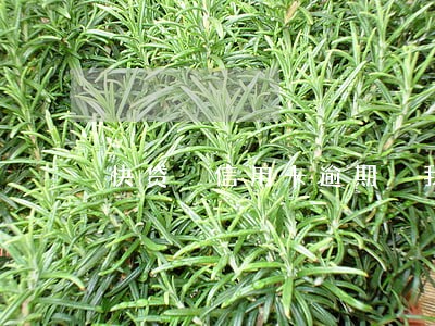 快贷 信用卡逾期 我爱卡 快贷 信用卡逾期 我爱卡